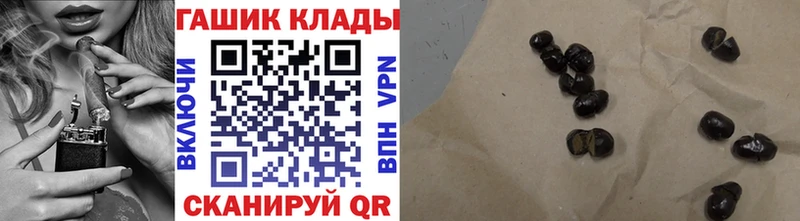 Купить  Закаменск  ГАШ Изолятор 