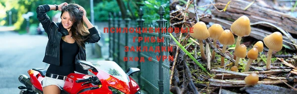 дмт Приозерск